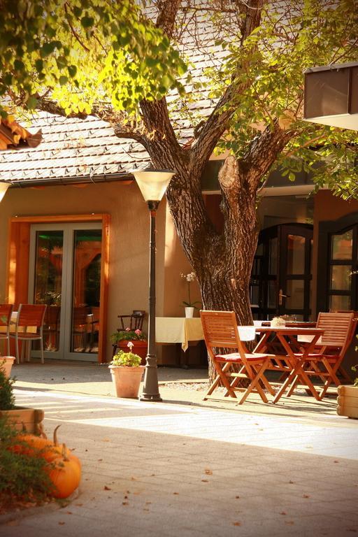 Gostilna Zolnir Hotel Kostanjevica na Krki Ngoại thất bức ảnh